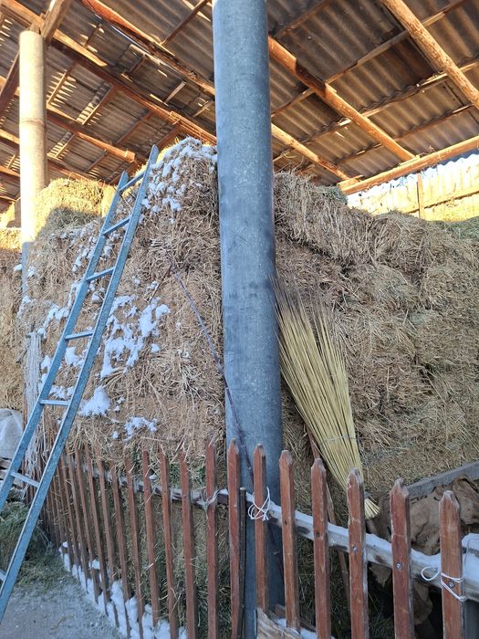 Продам люцерну в  тюках 350 тюков