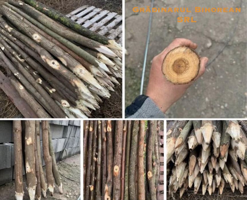 Pari / Tarusi / Araci , pentru gard electric (Oferta) .