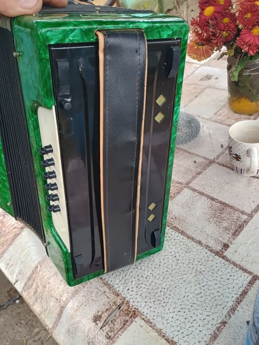 Vantd acordeon începători