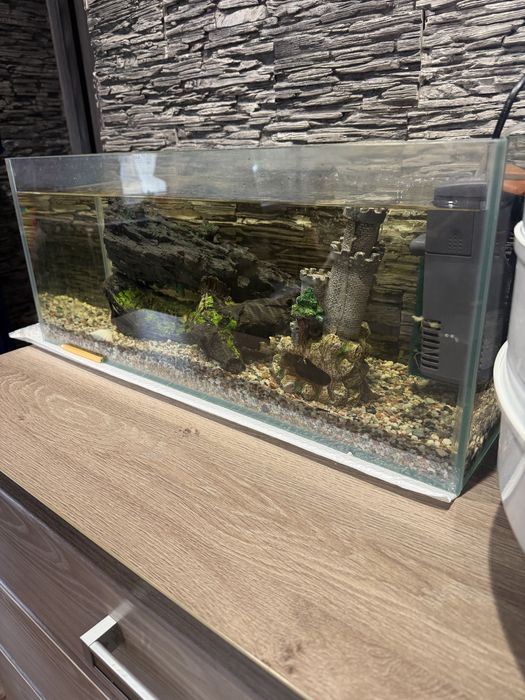 Аквариум на 40 литров