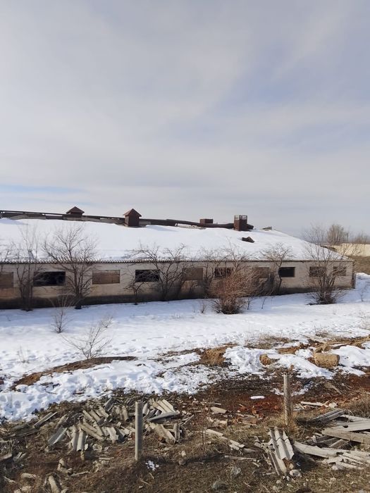 Продам базу рядом с Хоргосом