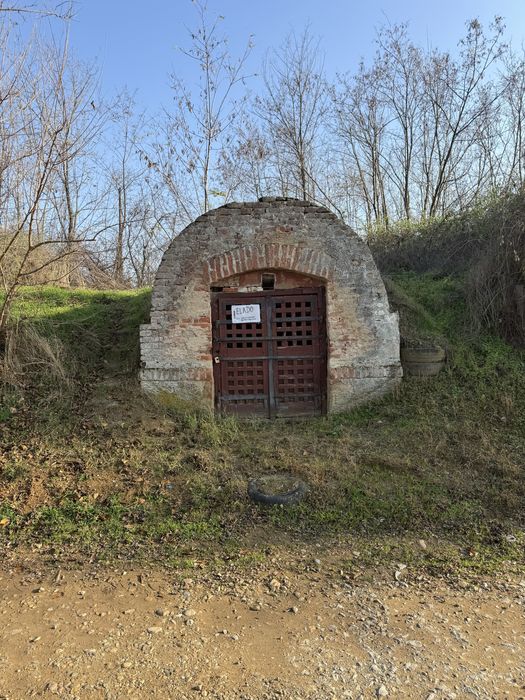 Vând pivniță în zona Sacueni