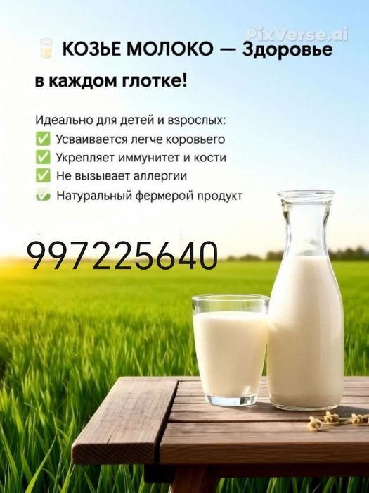 Всегда свежее без запаха