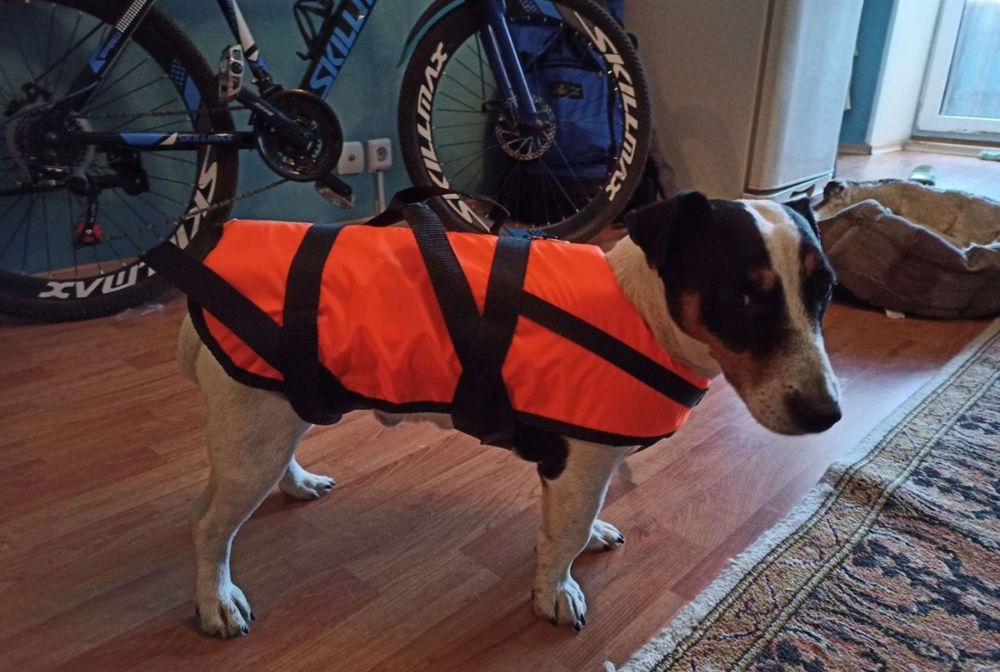Спасательный жилет для собак, размер М