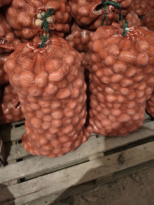 Продам  картофель средний