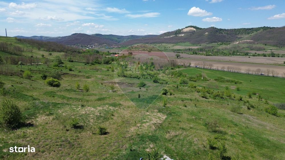 Domeniu - 66 Hectare - Teren deosebit Copsa Mica cu deschidere la DN14