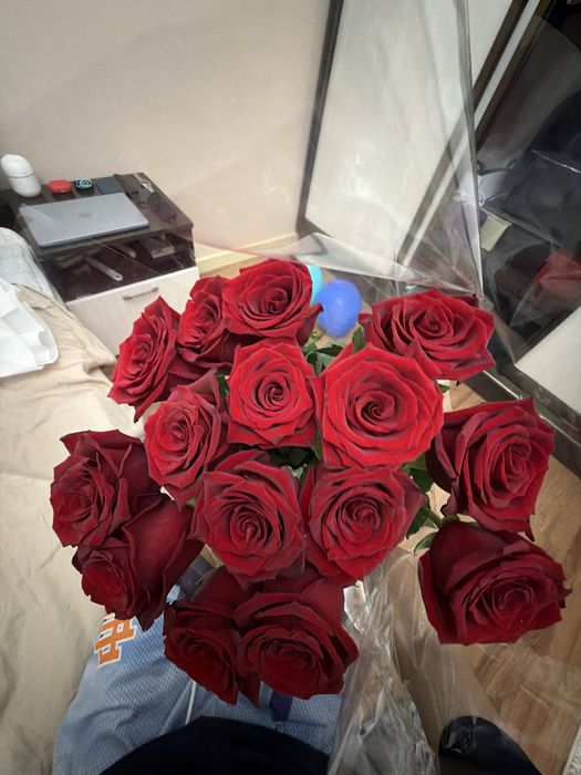 15 красных роз длинные