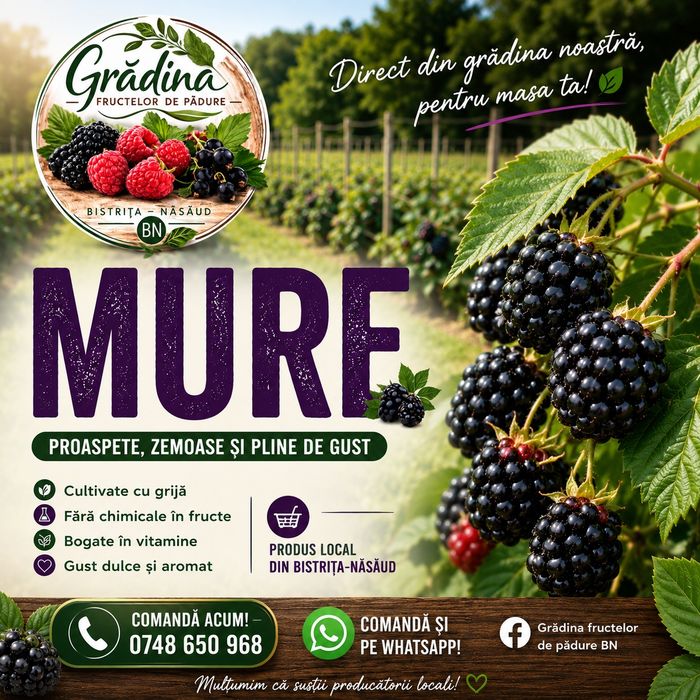 Fructe de mure proaspete