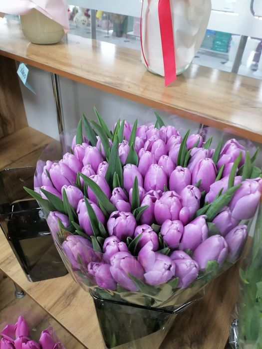 Тюльпаны Оптом и В розницу