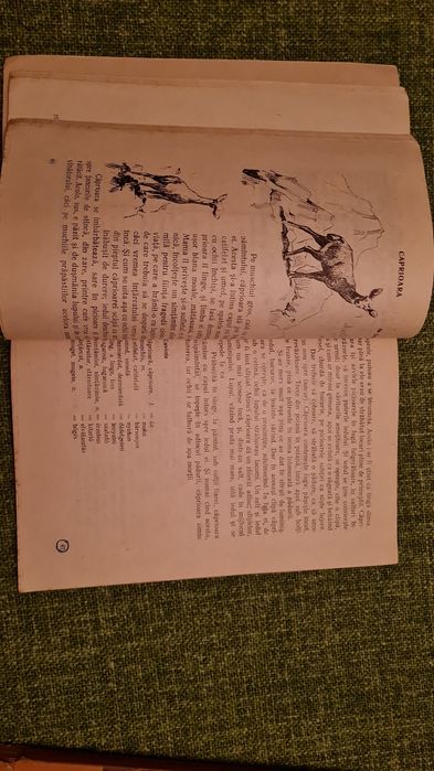 Manual de limba romina 1958 clasa V-a pentru scolile cu predare in lim