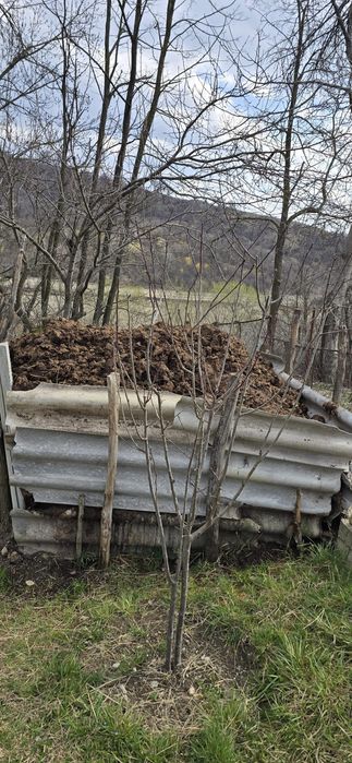 Oferta!De vânzare!!Gunoi de vaca!!