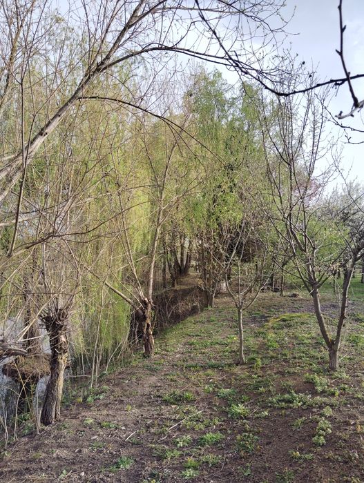 Casă tradițională cu teren generos și canal pentru pescarie si și irig