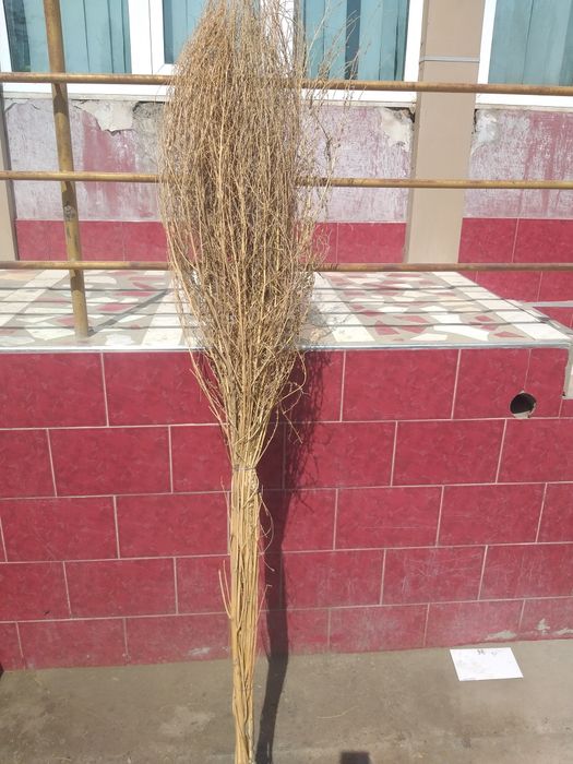 Веник Brooms сорго