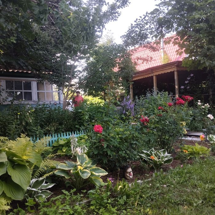 Дача. Заречный 2. Тополек.