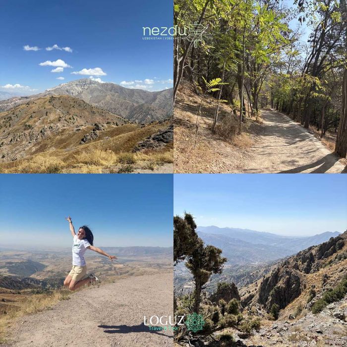 Проектирование и поддержка вашего тура и путешествия по Узбекистану