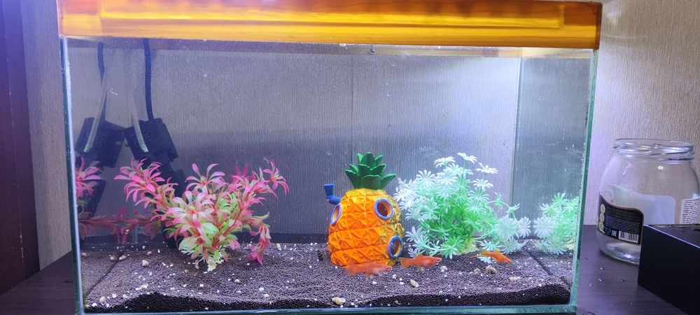 Аквариум 20 литров