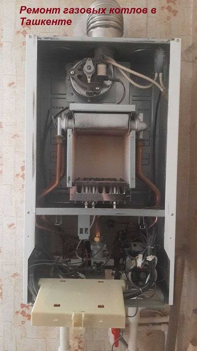 Ремонт газовых котлов Ariston. Airfel. Baxi. Italtherm. Thermogas и др