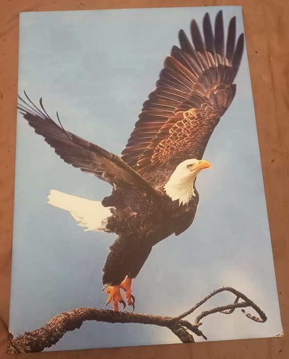 Tablou canvas dimensiuni mari calitate rama de lemn