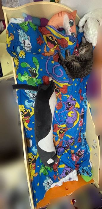 детский/подростковый модуль:кровать-чердак+стол+шкафы