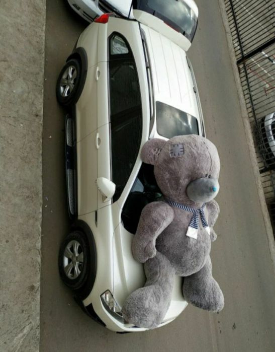 Teddi Tedi Teddy original zori