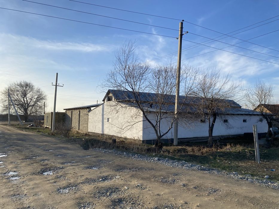 Откорм база на сорок голов, жилой дом. Новоджамбулец дача