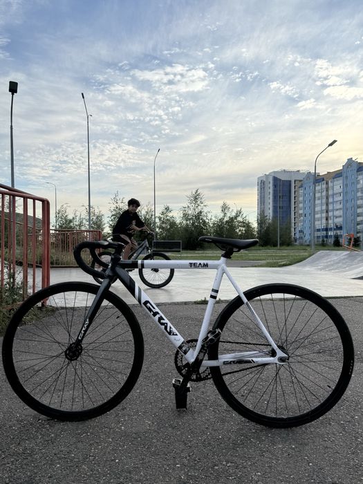 fixed-gear , gray team ,