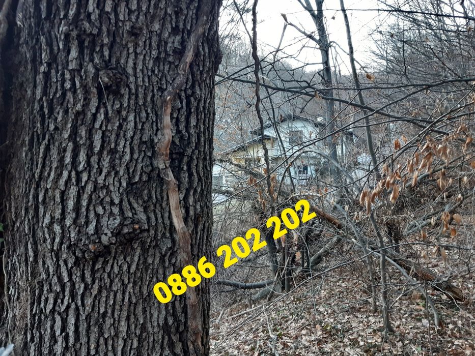 Продава се Парцел в София, м-т Мала кория - 1600 кв.м за 70 €/кв.м - Снимка #5