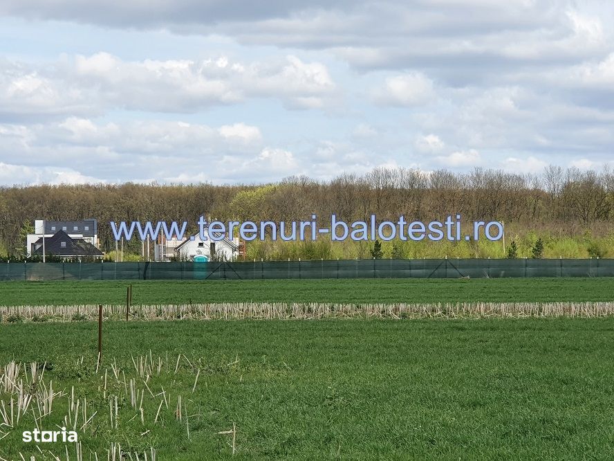 Teren Balotesti, vecinatate padure Sri,19500 euro