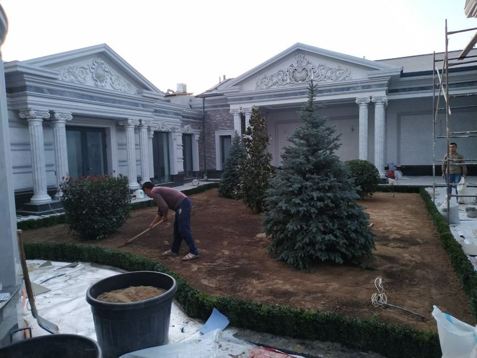 Газон экиш хизмати