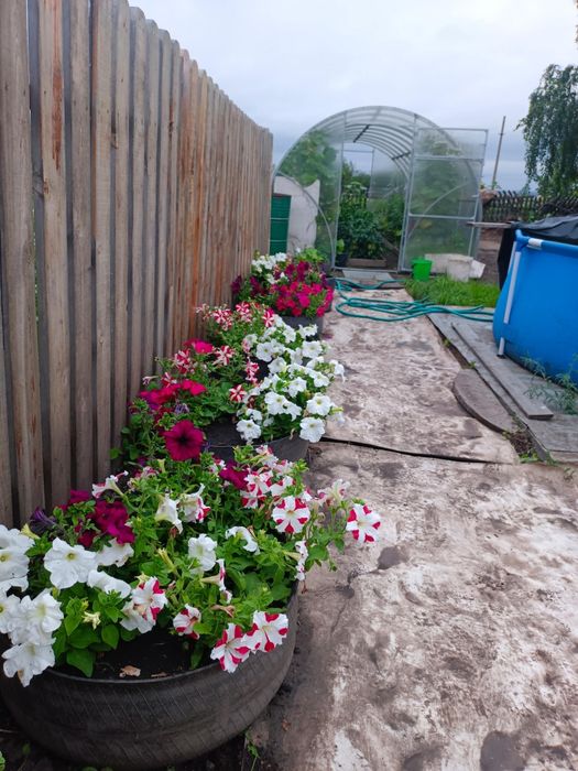 Продам дачу в Ромашке