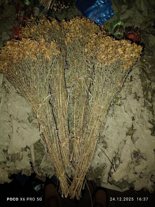 Банные веники и травы