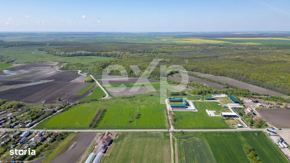 Black Angus Farm with authorized Slaughterhouse