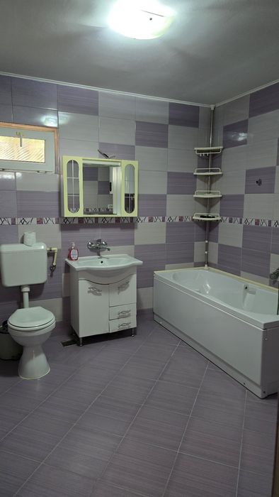 Casă la curte 1000m2