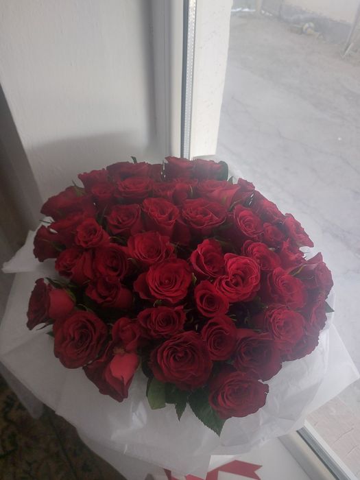Розы по хорошыи цене