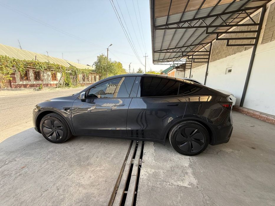 Tesla medel Y juniper