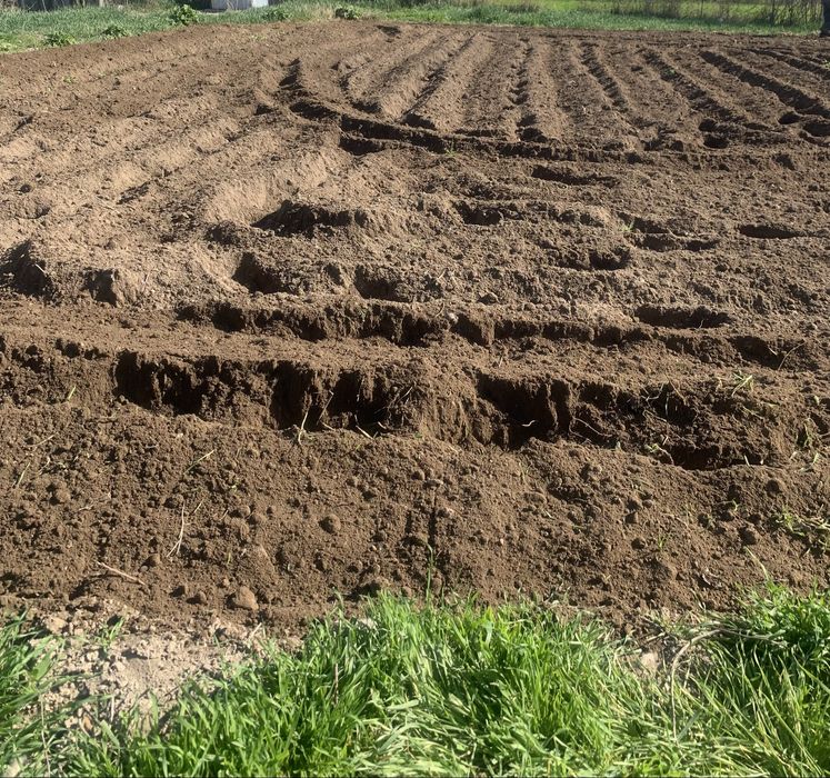 огород траншеи септики