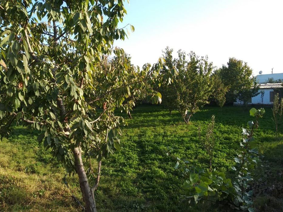 Участок   Назарбек 13соток кадастр есть,  сотка 11000$  газ свет вода.