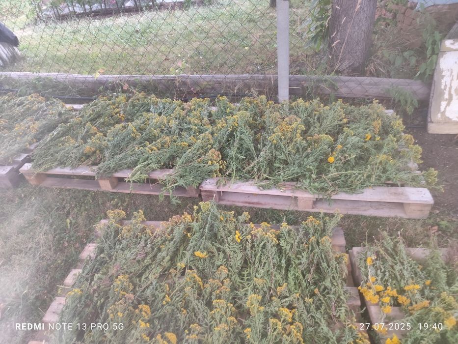 Вратига за опушване на пчели