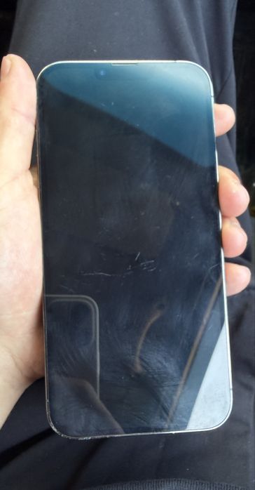 Iphone 13 pro max green