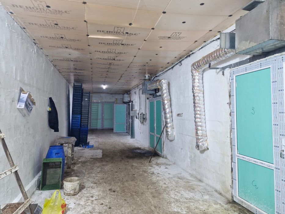 Готовый завод шампиньонов 6000соток