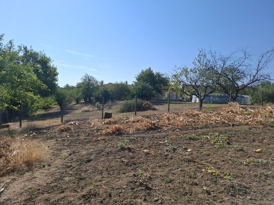 Продава се Парцел в с. Калипетрово, Област Силистра - 1194 кв.м за 15 €/кв.м - Снимка #7