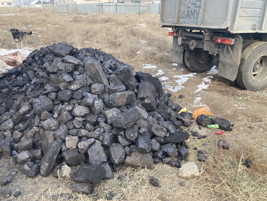 Уголь Кара жира и Шубаркуль сортовой отборный