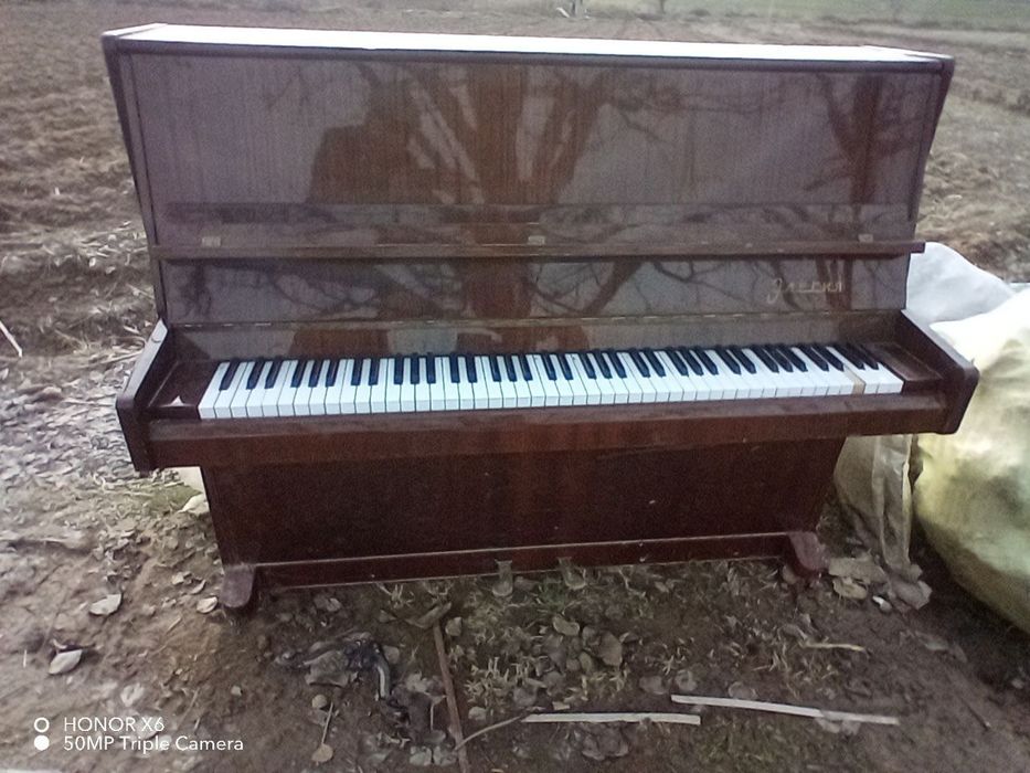 Piyanina 2 ta pedali