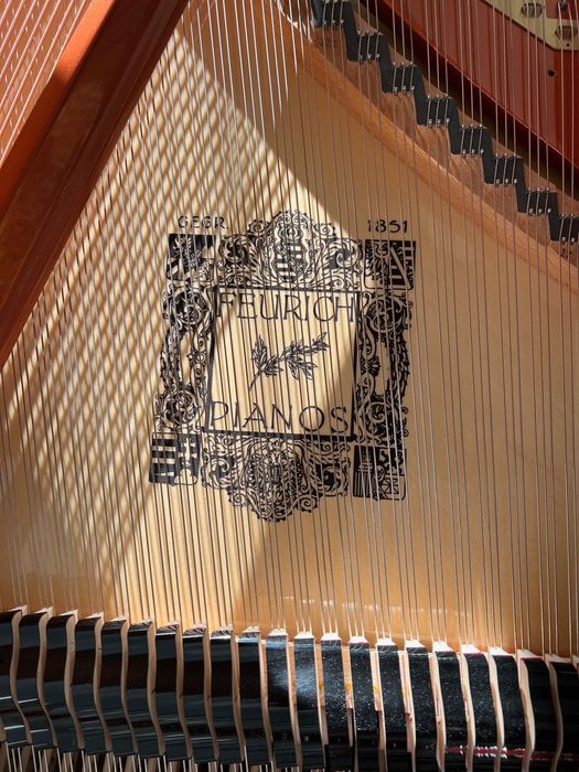 Роял FEURICH 179 – Dynamic II