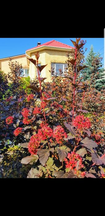 Продам коттедж на КСК