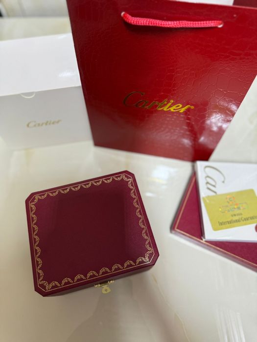 Cartier Santos silver skeleton