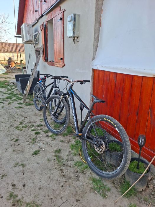 Cannondale trail 7 2019 HARDTAIL