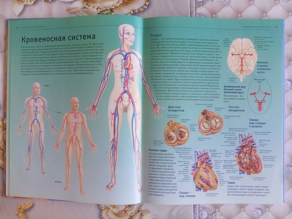 Uning eshagi va qichqirigi videosi