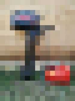 Извънбордов двигател Меркюри, 5к.с.,двутактов