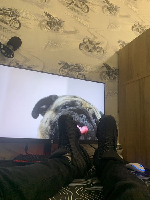 Air jordan 13 black cat